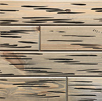 E-Peck® Southern Pine Weathered Grey by Synergy Wood - Rare Pecky Cypress look on Red Grandis, Eastern White Pine and Southern Pine boards.